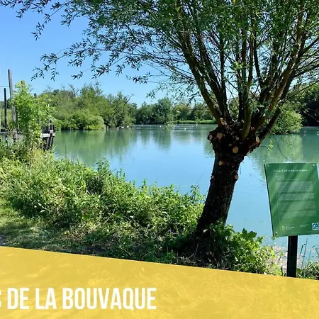 L'avocette Doree - Confort - Centre Ville * Abbeville